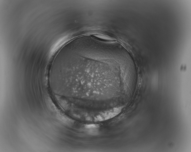 X0000111350053200907241208