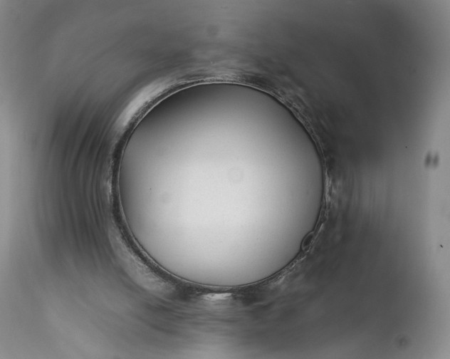 X0000111350054200907241208