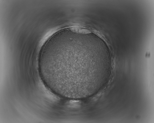 X0000111350055200907241208