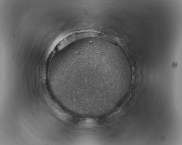 X0000111350056200907241208