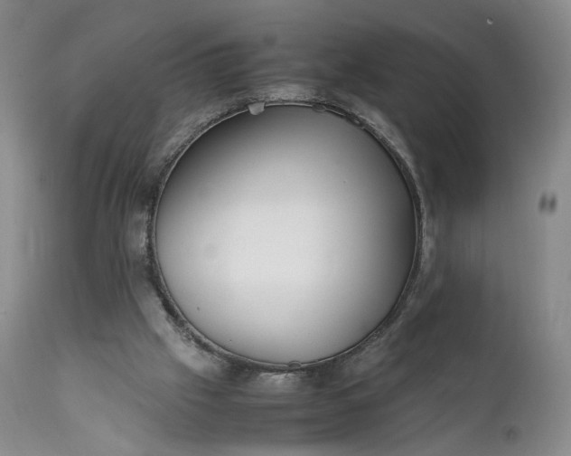 X0000111350057200907241208