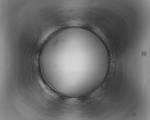 X0000111350058200907241208