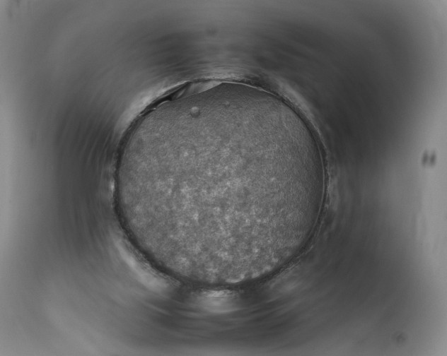 X0000111350059200907241208