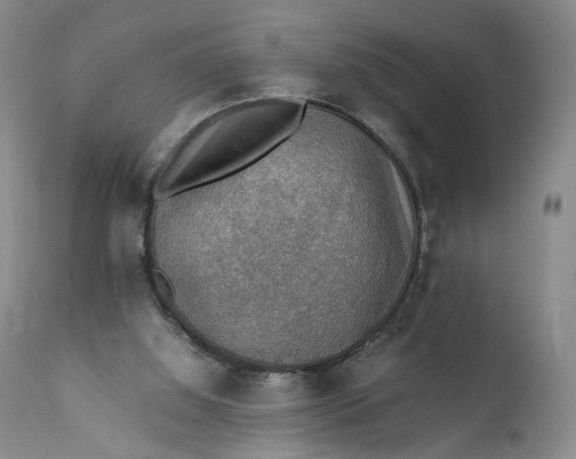 X0000111350060200907241208