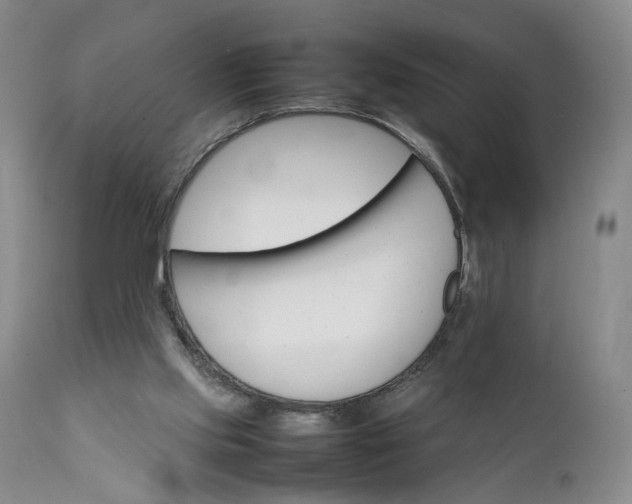 X0000111350061200907241208