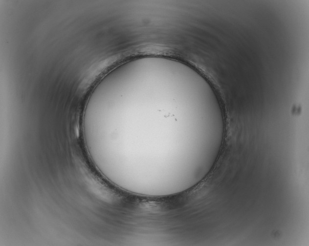 X0000111350062200907241208