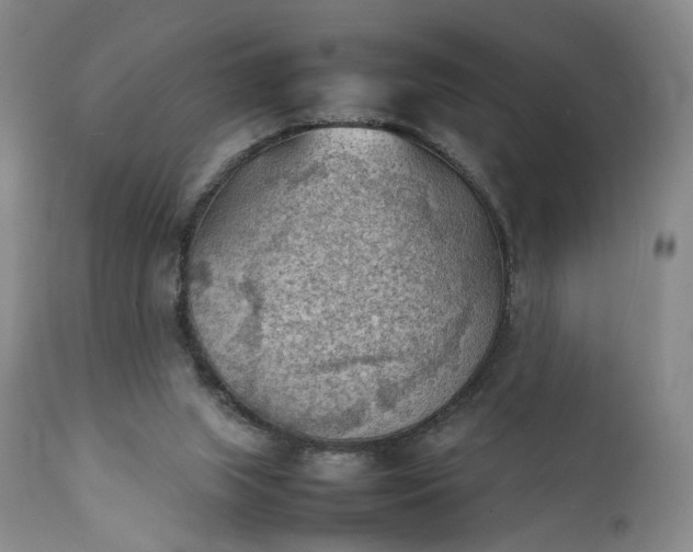 X0000111350063200907241208