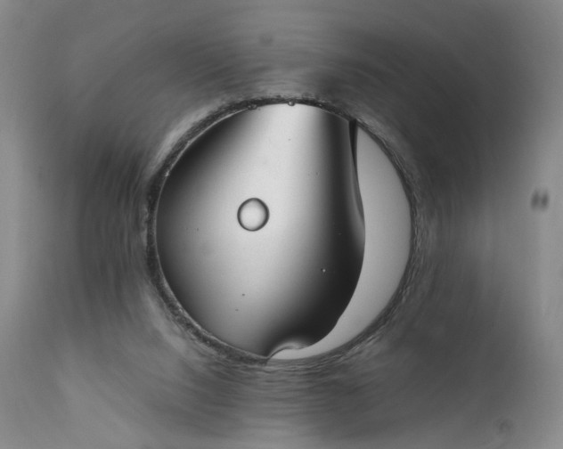 X0000111350064200907241208