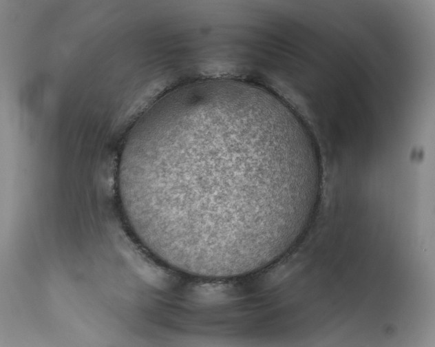 X0000111350065200907241208