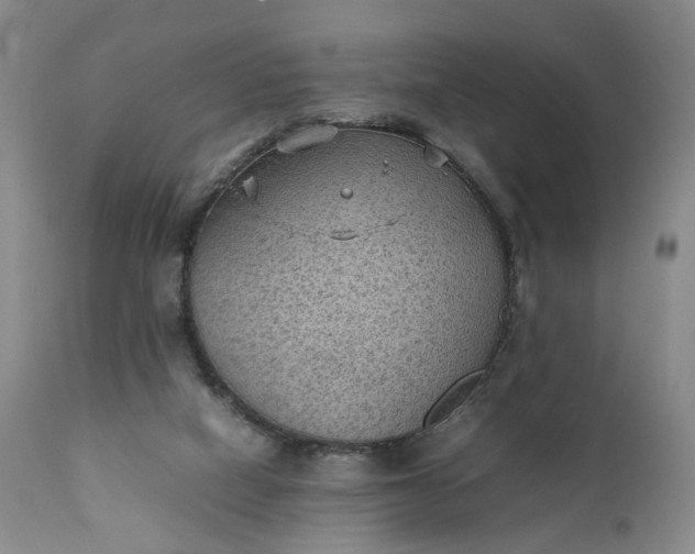 X0000111350066200907241208