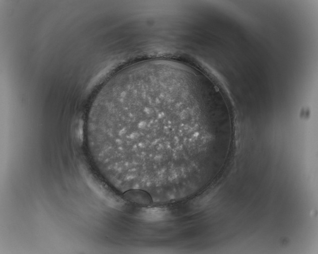 X0000111350067200907241208