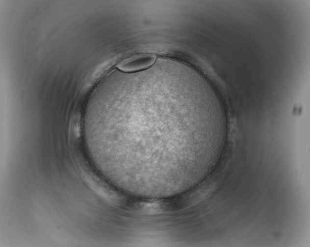 X0000111350068200907241208