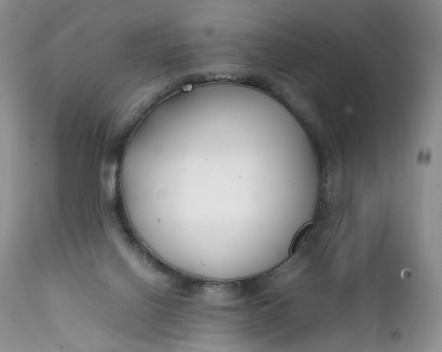 X0000111350070200907241208