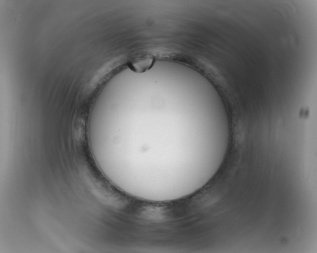 X0000111350071200907241208