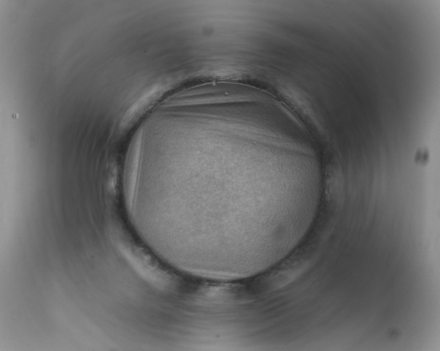 X0000111350072200907241208