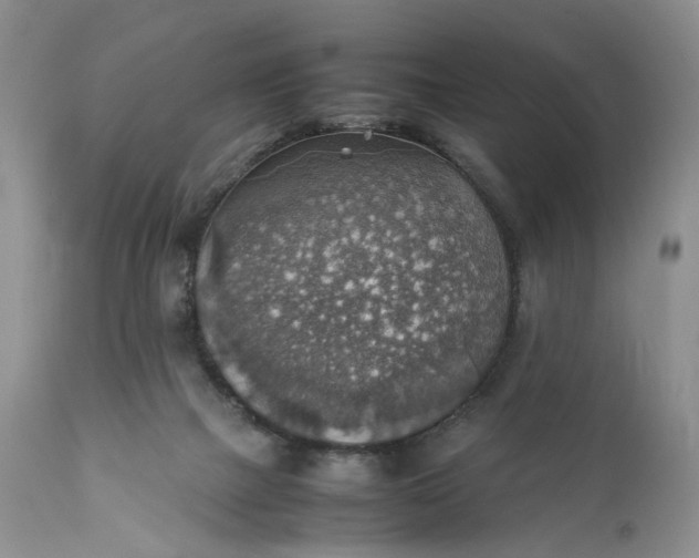 X0000111350073200907241208