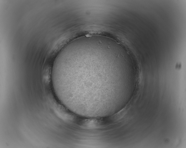 X0000111350074200907241208