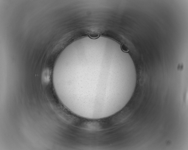 X0000111350075200907241208