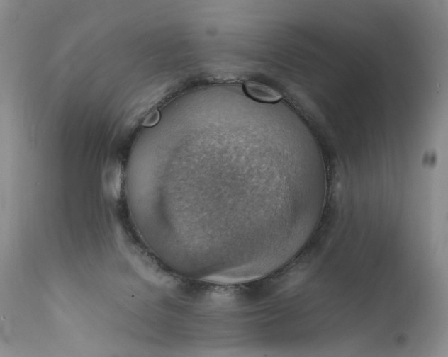 X0000111350076200907241208