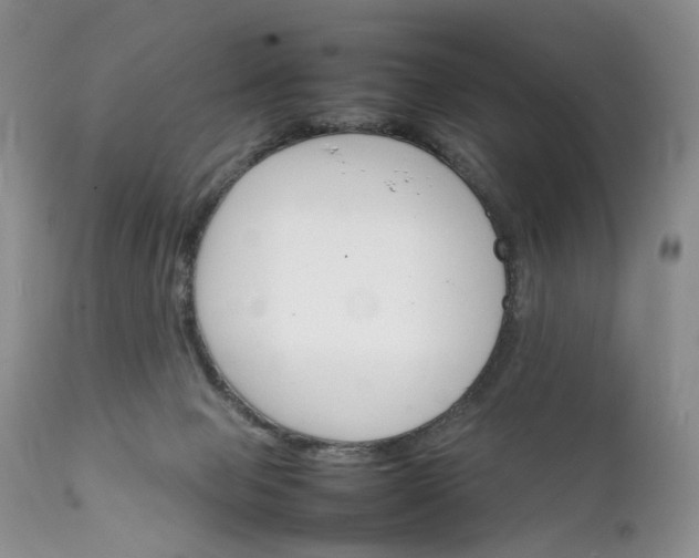 X0000111350077200907241208