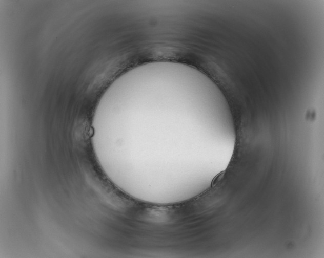 X0000111350079200907241208