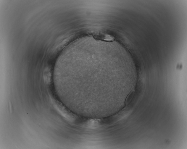 X0000111350080200907241208