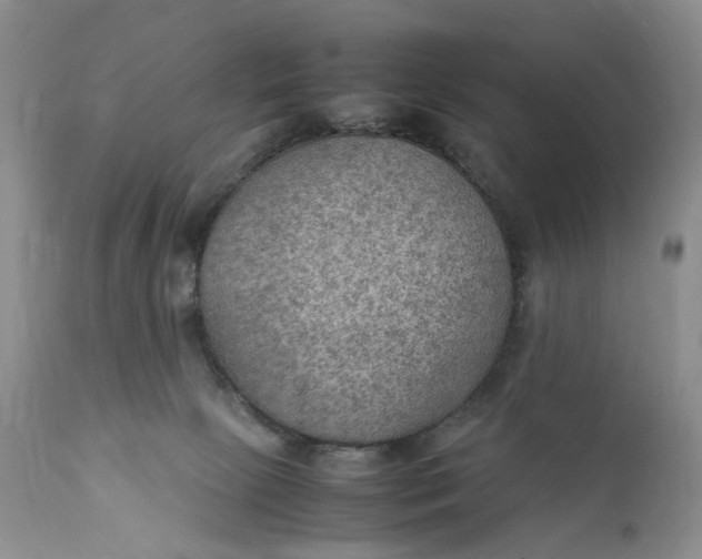 X0000111350081200907241208