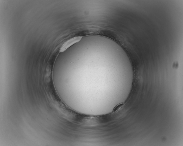 X0000111350082200907241208