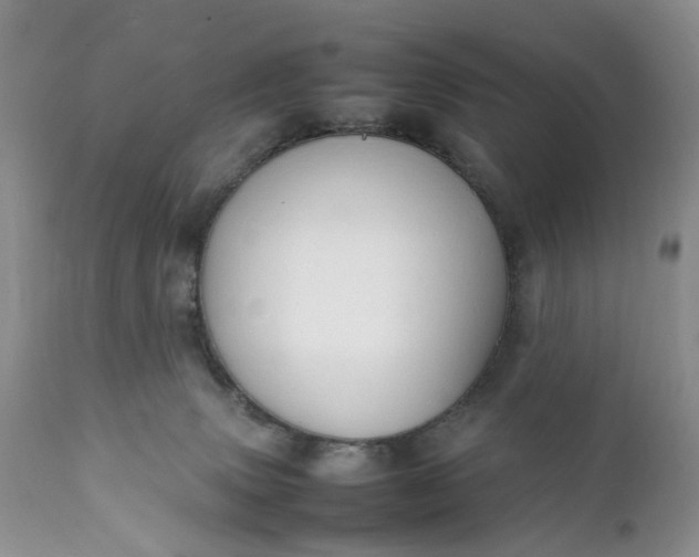 X0000111350083200907241208