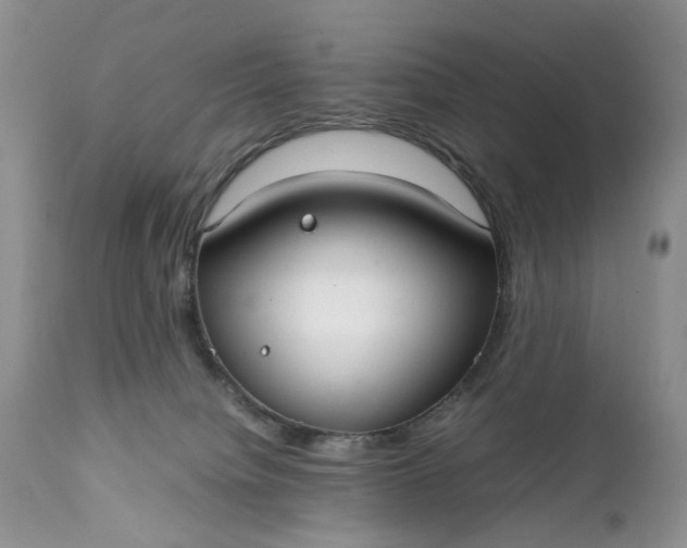 X0000111350084200907241208