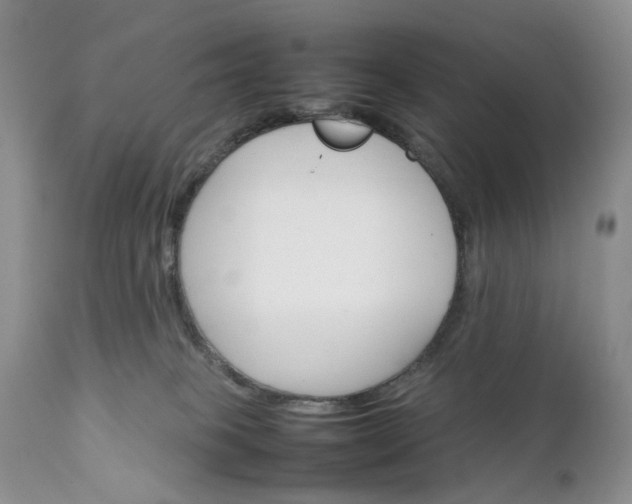 X0000111350085200907241208