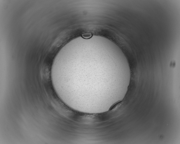 X0000111350086200907241208