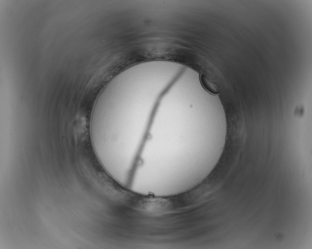 X0000111350087200907241208