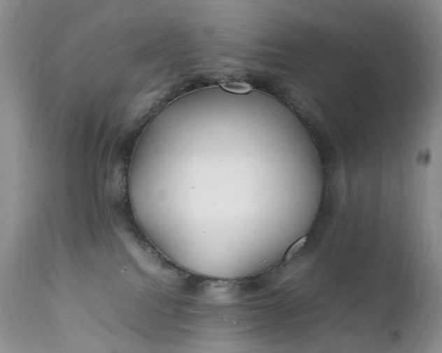 X0000111350088200907241208