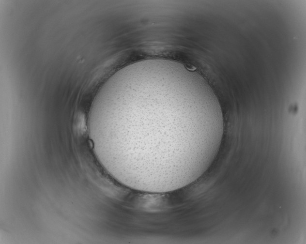 X0000111350089200907241208