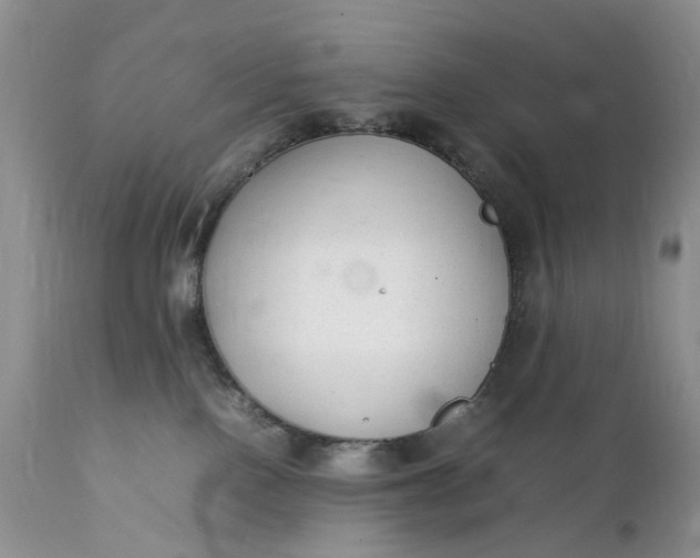 X0000111350090200907241208