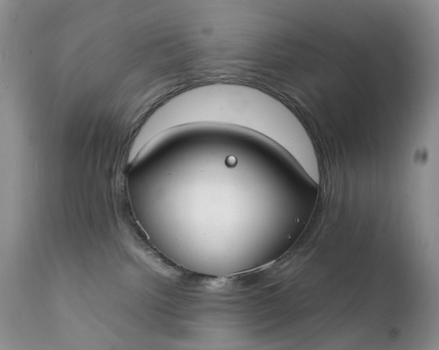 X0000111350092200907241208