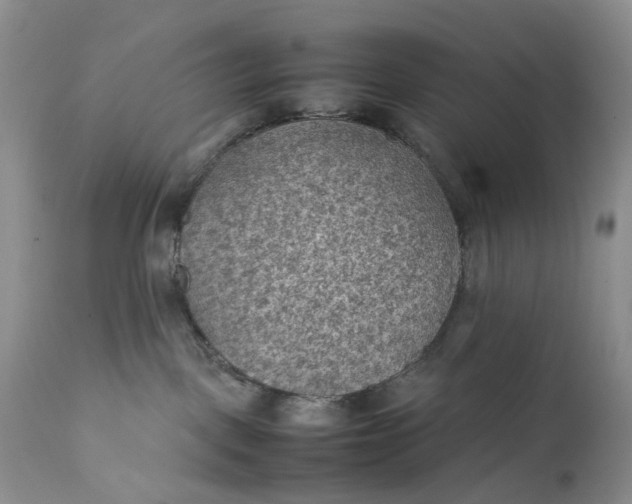 X0000111350093200907241209