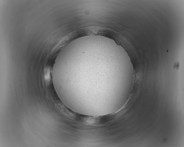 X0000111350094200907241209