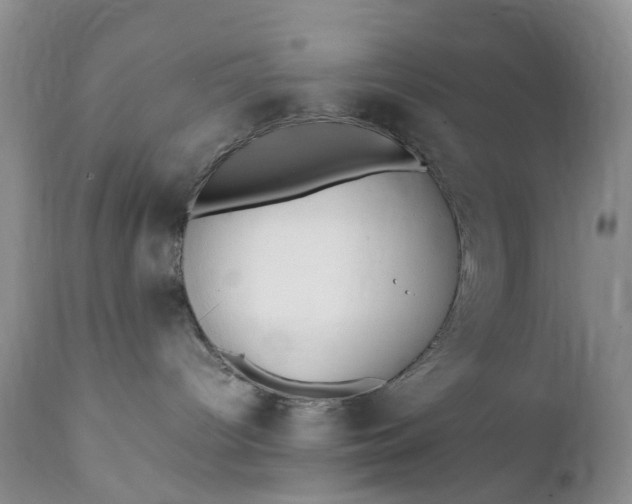 X0000111350096200907241209