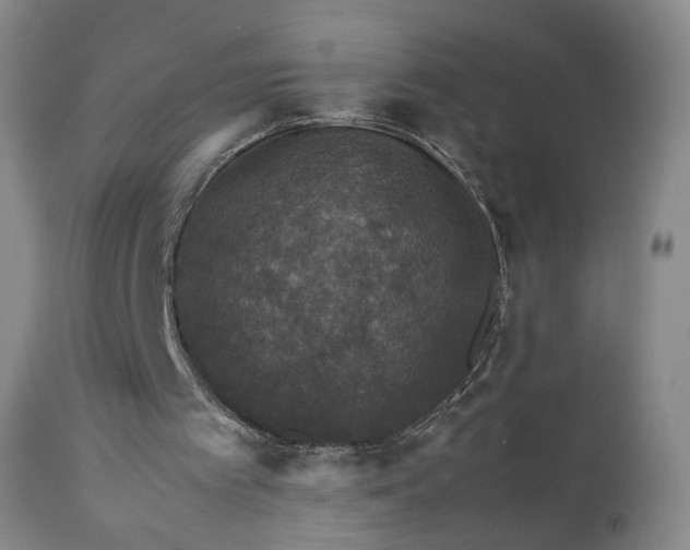 X0000111350097200907241208