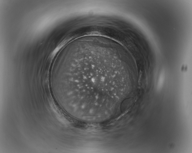 X0000111350099200907241208