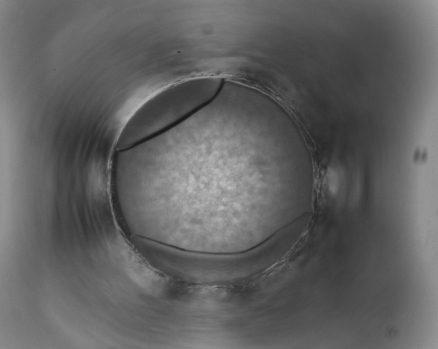 X0000111350100200907241208