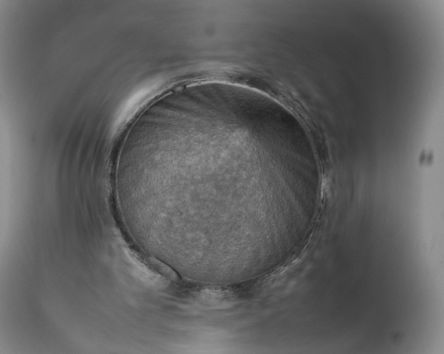 X0000111350101200907241208