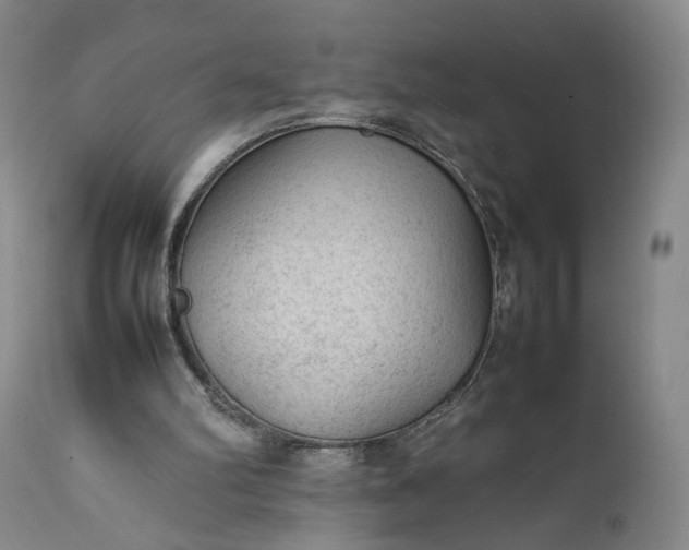 X0000111350102200907241208