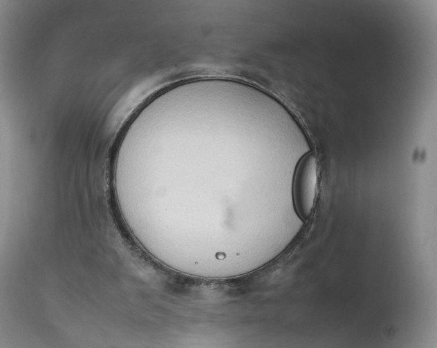 X0000111350103200907241208