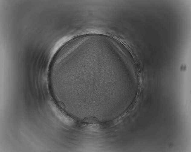 X0000111350104200907241208