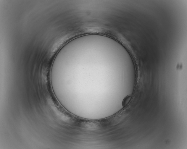 X0000111350106200907241208