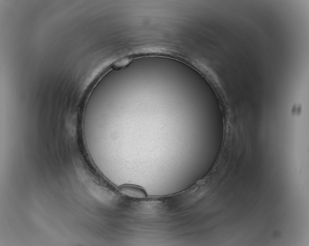 X0000111350108200907241208