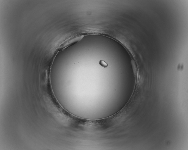 X0000111350109200907241208